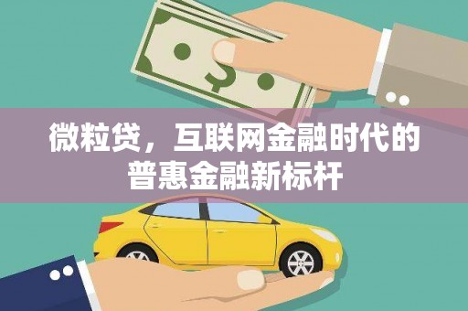 丰满微粒贷，互联网金融时代的普惠金融新标杆