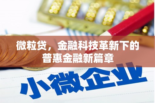 丰满微粒贷，金融科技革新下的普惠金融新篇章