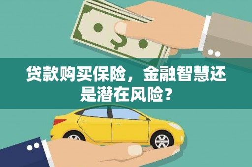 丰满贷款购买保险，金融智慧还是潜在风险？