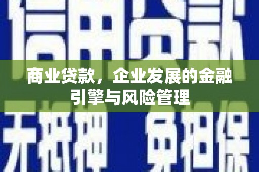 丰满商业贷款，企业发展的金融引擎与风险管理