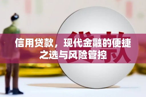 丰满信用贷款，现代金融的便捷之选与风险管控