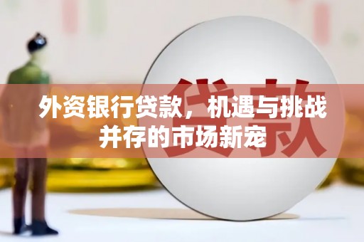 丰满外资银行贷款，机遇与挑战并存的市场新宠