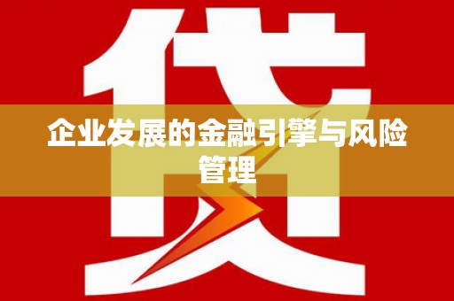 丰满企业发展的金融引擎与风险管理