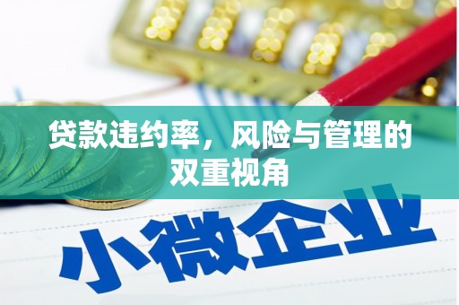 丰满贷款违约率，风险与管理的双重视角