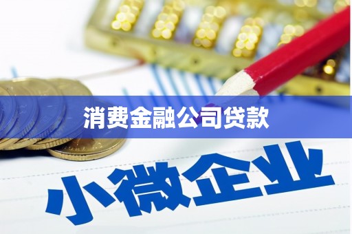 丰满消费金融公司贷款