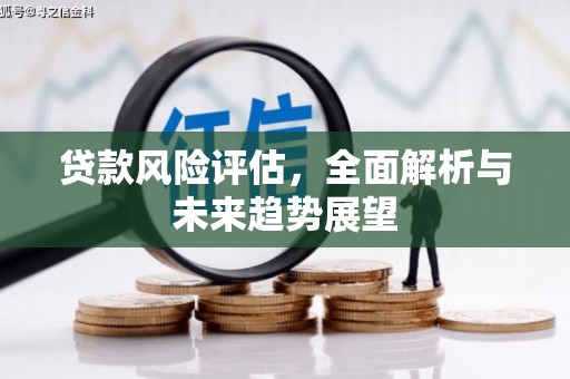 丰满贷款风险评估，全面解析与未来趋势展望