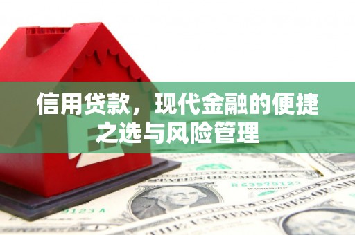 丰满信用贷款，现代金融的便捷之选与风险管理