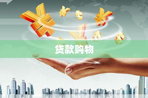 丰满贷款购物