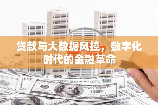丰满贷款与大数据风控，数字化时代的金融革命