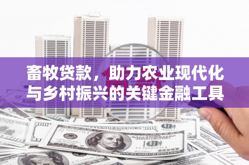 丰满畜牧贷款，助力农业现代化与乡村振兴的关键金融工具