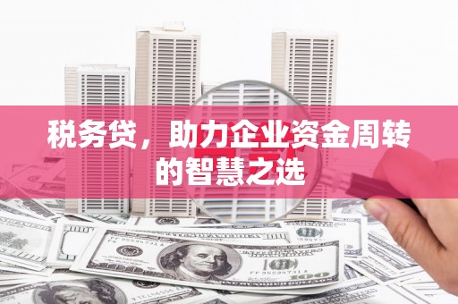 丰满税务贷，助力企业资金周转的智慧之选