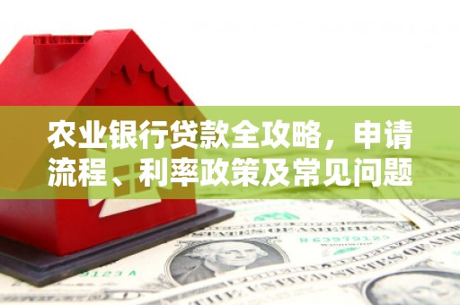 丰满农业银行贷款全攻略，申请流程、利率政策及常见问题解析