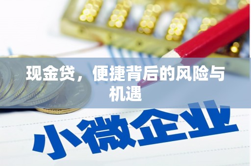 丰满现金贷，便捷背后的风险与机遇