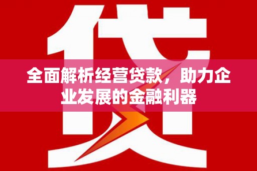 丰满全面解析经营贷款，助力企业发展的金融利器