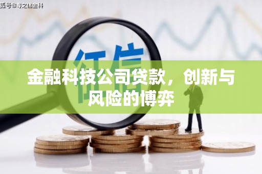 丰满金融科技公司贷款，创新与风险的博弈