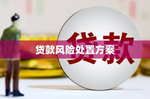 丰满贷款风险处置方案