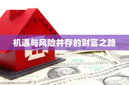 丰满机遇与风险并存的财富之路