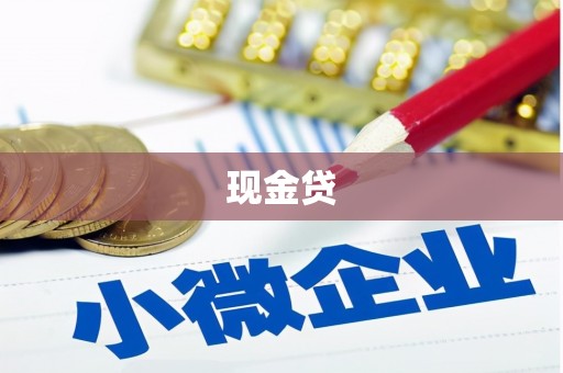 丰满现金贷