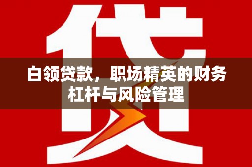 丰满白领贷款，职场精英的财务杠杆与风险管理