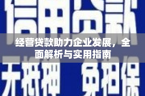 丰满经营贷款助力企业发展，全面解析与实用指南