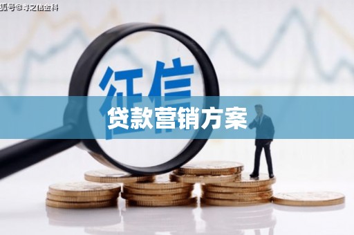 丰满贷款营销方案