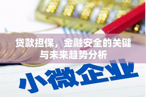 丰满贷款担保，金融安全的关键与未来趋势分析