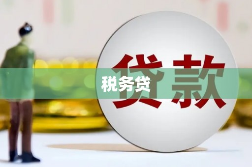 丰满税务贷