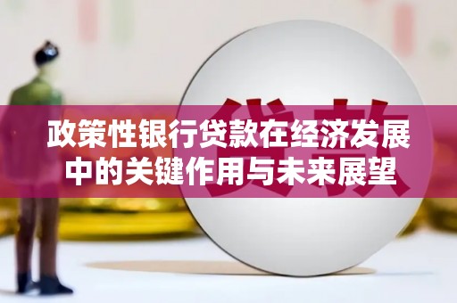 丰满政策性银行贷款在经济发展中的关键作用与未来展望