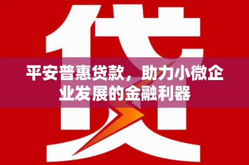 丰满平安普惠贷款，助力小微企业发展的金融利器