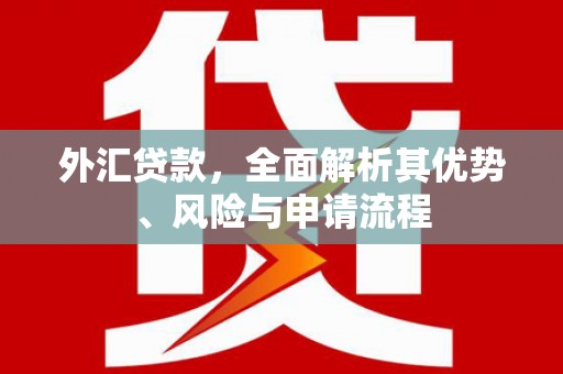 丰满外汇贷款，全面解析其优势、风险与申请流程
