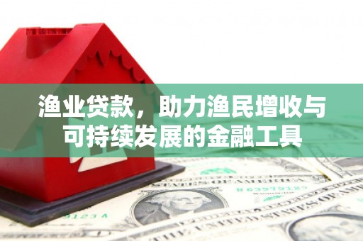 丰满渔业贷款，助力渔民增收与可持续发展的金融工具