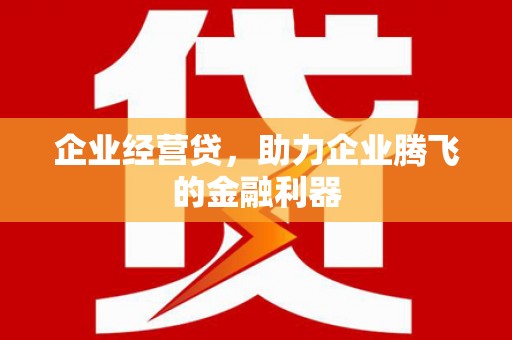 丰满企业经营贷，助力企业腾飞的金融利器