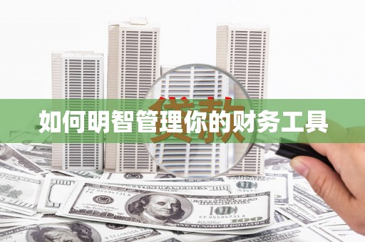 丰满如何明智管理你的财务工具