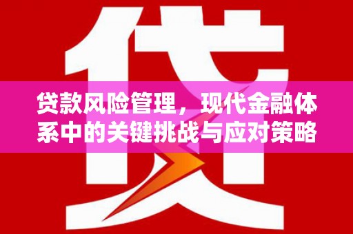 丰满贷款风险管理，现代金融体系中的关键挑战与应对策略