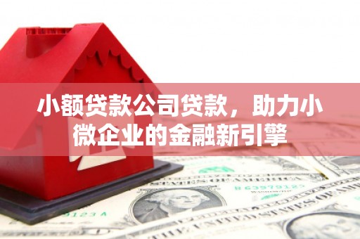 丰满小额贷款公司贷款，助力小微企业的金融新引擎