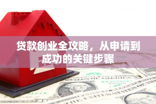 丰满贷款创业全攻略，从申请到成功的关键步骤