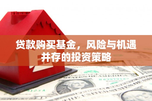 丰满贷款购买基金，风险与机遇并存的投资策略