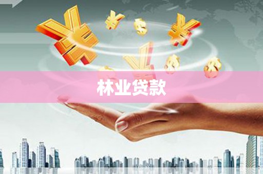 丰满林业贷款