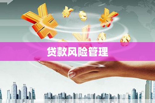 丰满贷款风险管理