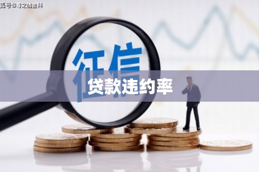 丰满贷款违约率