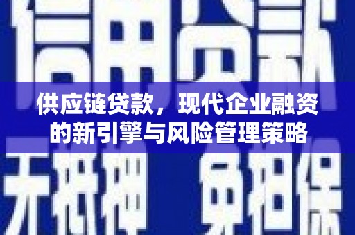 丰满供应链贷款，现代企业融资的新引擎与风险管理策略