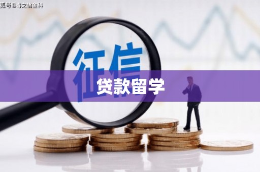 丰满贷款留学