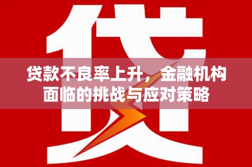 丰满贷款不良率上升，金融机构面临的挑战与应对策略