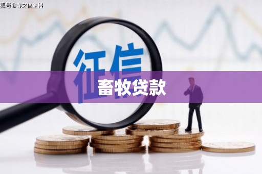 丰满畜牧贷款