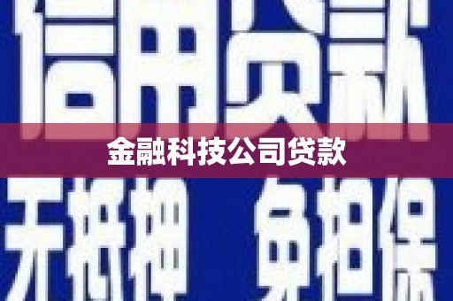 丰满金融科技公司贷款
