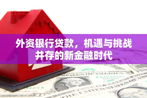 丰满外资银行贷款，机遇与挑战并存的新金融时代