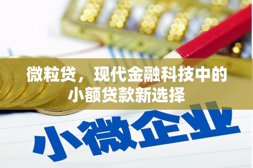 丰满微粒贷，现代金融科技中的小额贷款新选择