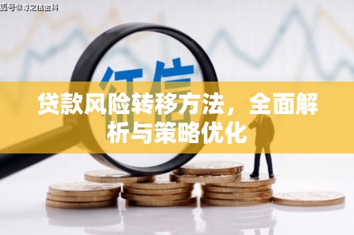丰满贷款风险转移方法，全面解析与策略优化
