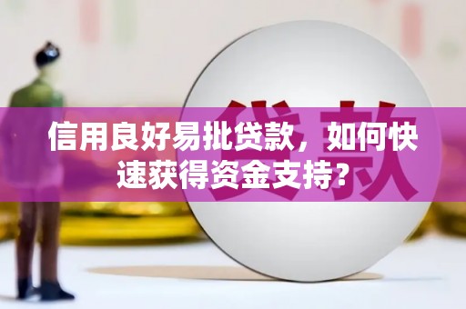 丰满信用良好易批贷款，如何快速获得资金支持？