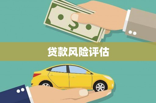 丰满贷款风险评估